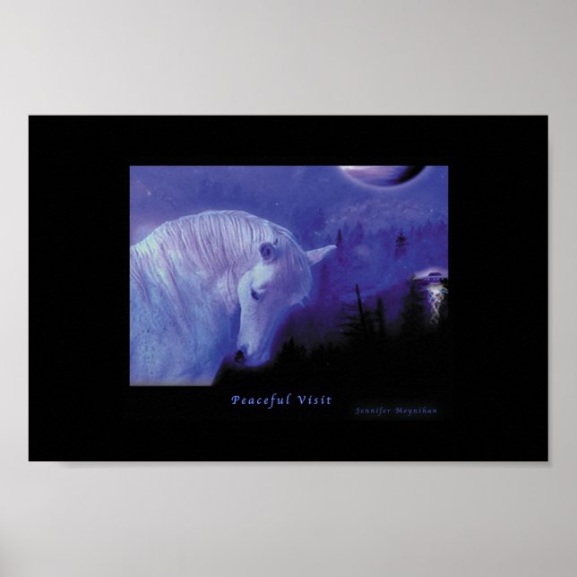 Peaceful Visit Poster (Front)