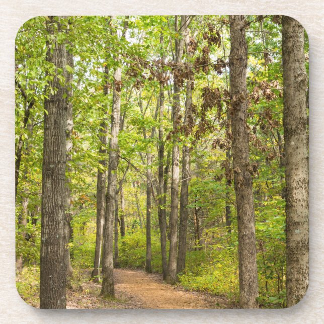 Peaceful Walk Coaster (Front)