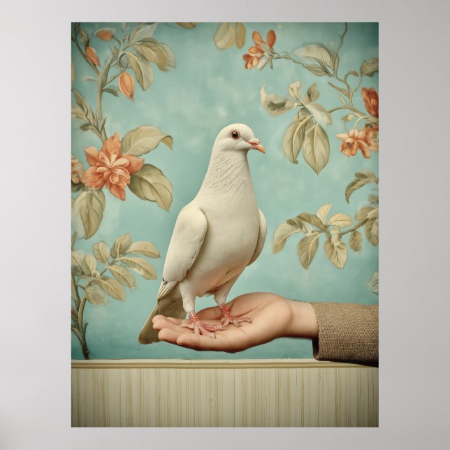 Peaceful White Dove Poster (Front)