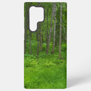 Peaceful Woodland Nature Aesthetic Samsung Galaxy Case