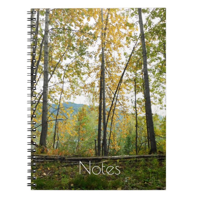 Peaceful woodland notebook (Front)