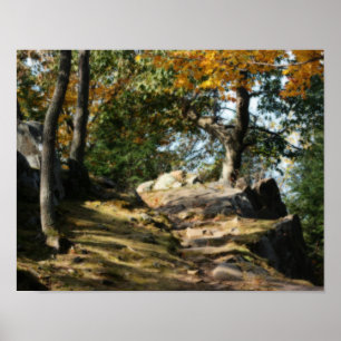 Peaceful Woodland Path Nature Orton Art Poster