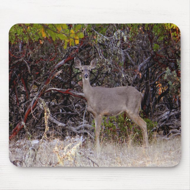 Peacefully.... Mouse Pad (Front)