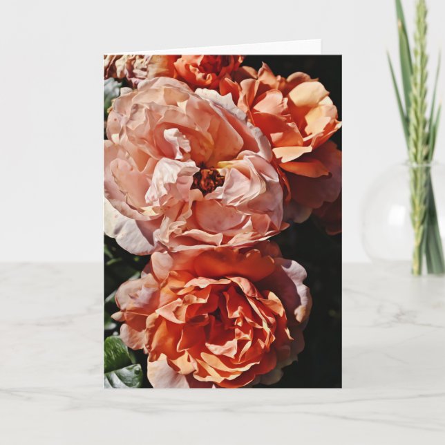 Peach Apricot Roses Portrait Art Note Card (Front)