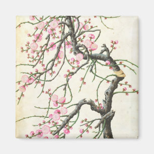 Peach blossom (colour on paper) magnet