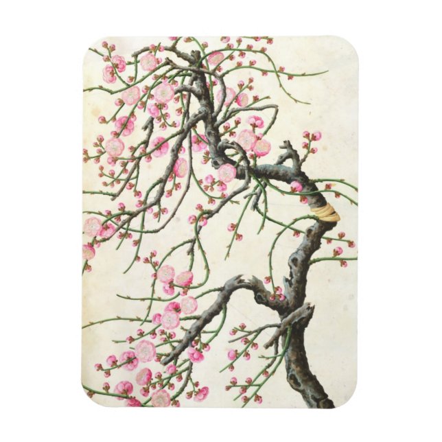 Peach blossom (colour on paper) magnet (Vertical)
