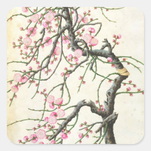 Peach blossom (colour on paper) square sticker