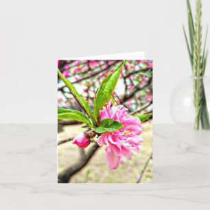 Peach Blossom Folded Thank You Card