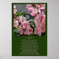 Peach Blossom Photo with Cool Melody Poem