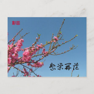 Peach Blossom Tree Postcard