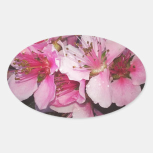 Peach Blossoms Oval Sticker