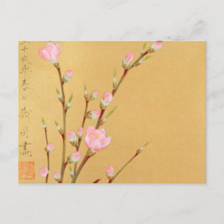 Peach Blossoms Postcard