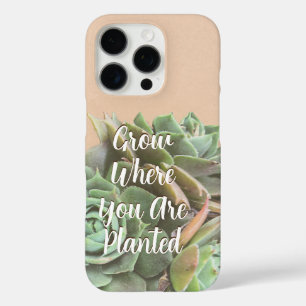 Peach Blush Succulent Choose your colour iPhone 16 Pro Case