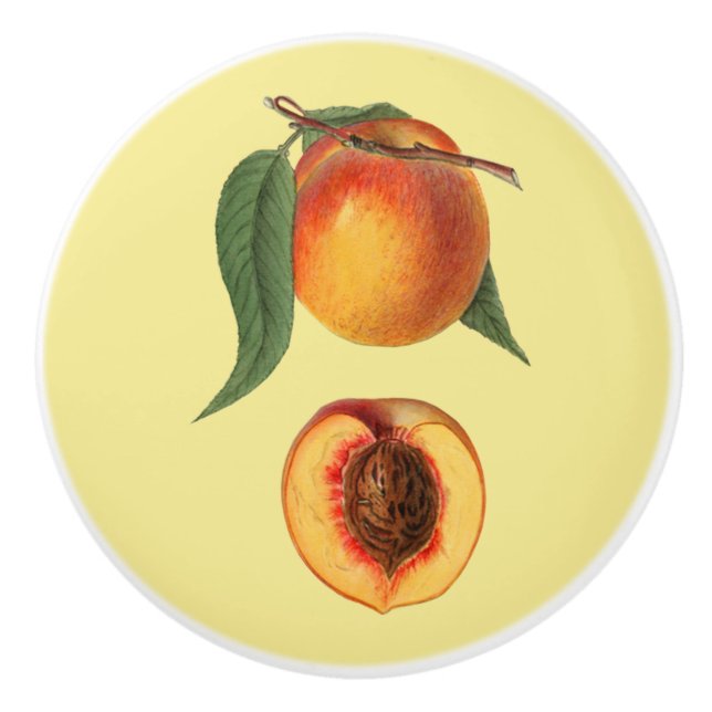 Peach  ~ Botanical Fruit ~ Any Background Colour ~ Ceramic Knob (Front)