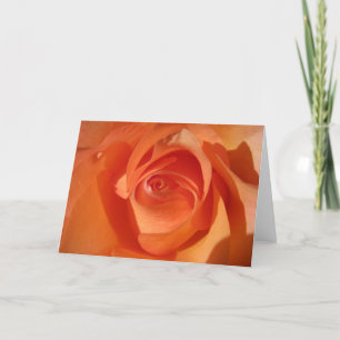 Peach Burst Greeting Card