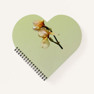 Peach Colored Irises Notebook