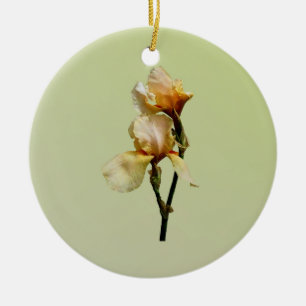 Peach Coloured Irises Ceramic Ornament