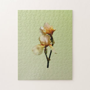 Peach Coloured Irises Jigsaw Puzzle