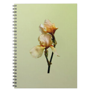 Peach Coloured Irises Notebook
