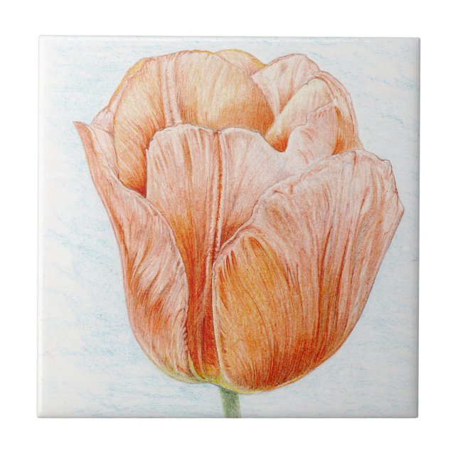 Peach Coloured Tulip Ceramic Tile (Front)