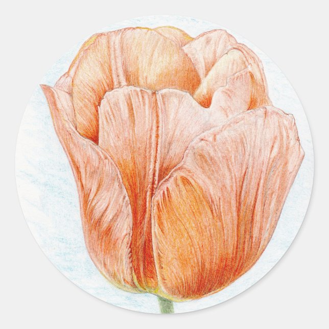 Peach Coloured Tulip Classic Round Sticker (Front)