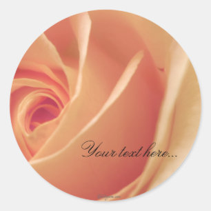 Peach Cream Rose Wedding Invitations Seals
