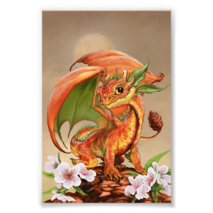 Peach Dragon 4x6 Print