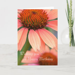 Peach Echinacea Flowers Card