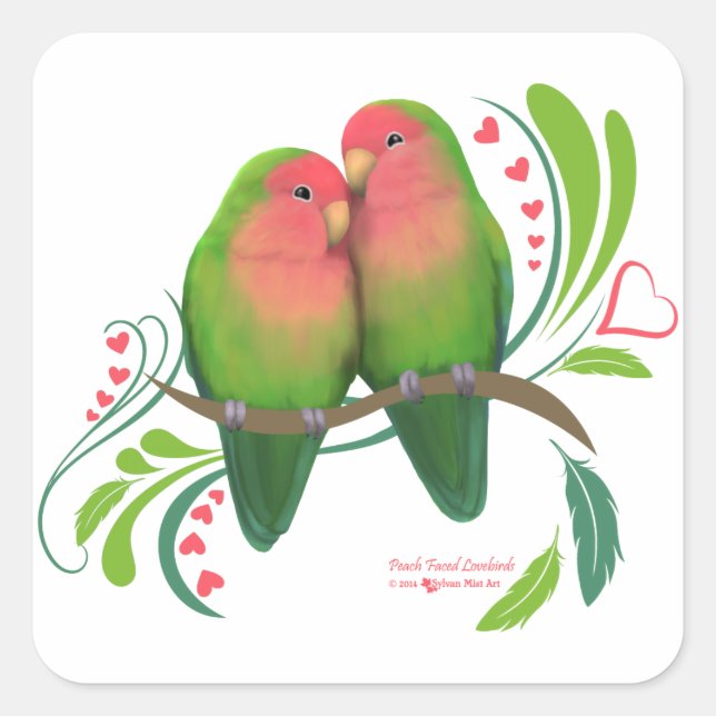 Peach Faced Love Birds Square Sticker (Front)