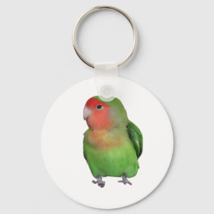Peach-faced Lovebird Key Ring