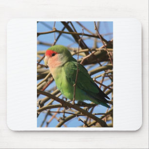 peach faced lovebird mouse pad
