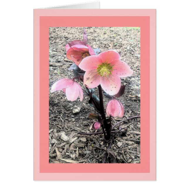 Peach Flower Card (Front)