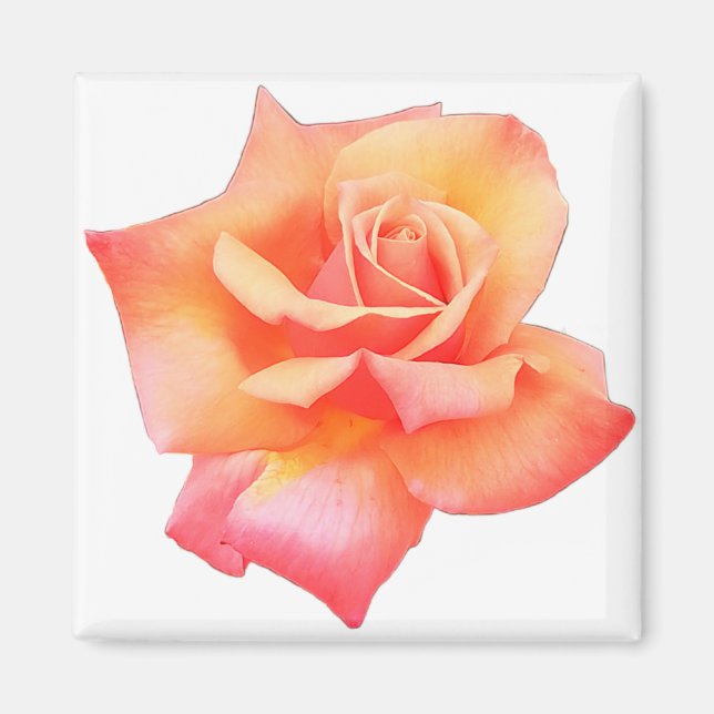 Peach flower magnet (Front)