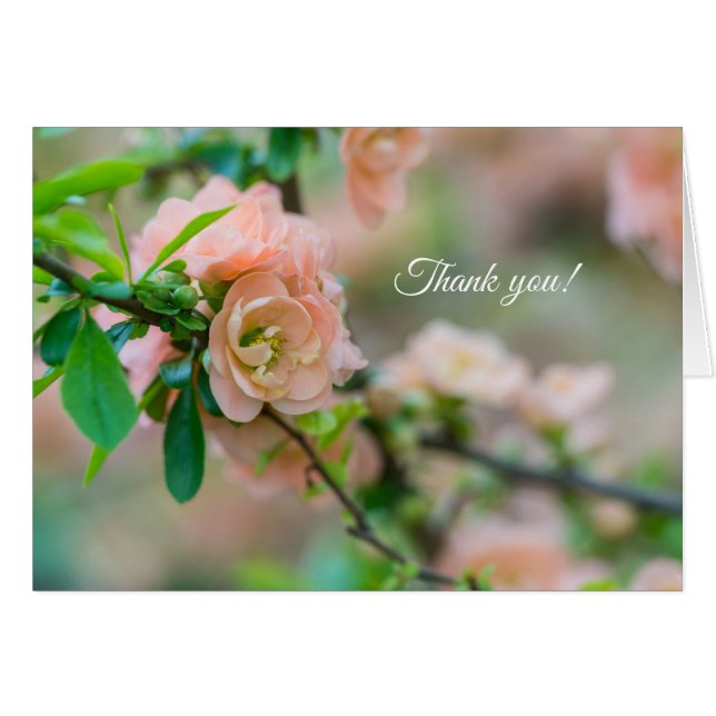 Peach Flowering Quince Thank you Card (Front Horizontal)