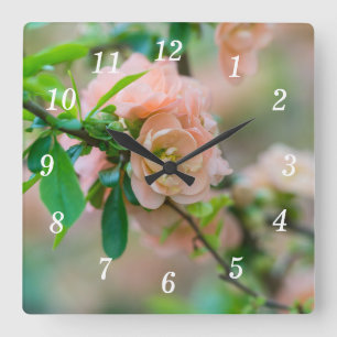 Peach Flowering Quince Wall Clock