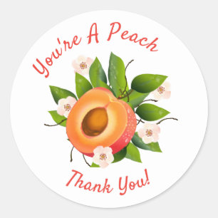 Peach Fruit Canning Thank You Envelope Seal