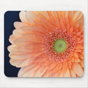 Peach Gerbera Mouse Pad