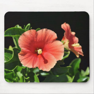 Peach Hibiscus Floral Mouse Pad