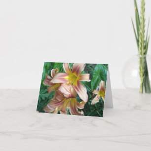 Peach Lily Note Card
