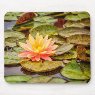 Peach Lotus Flower Mouse Pad