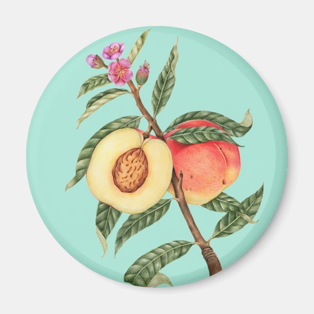 Peach Magnet (Front)
