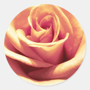 Peach-Orange Envelope Seal Stickers