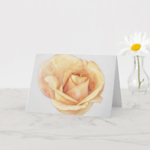 Peach Orange Rose Flower Floral Art Note Card