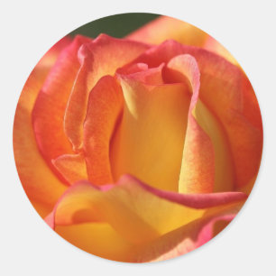 PEACH (Orange) ROSE WEDDING STICKERS AND SEALS