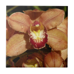 Peach Orchids with Raindrops Floral Ceramic Tile