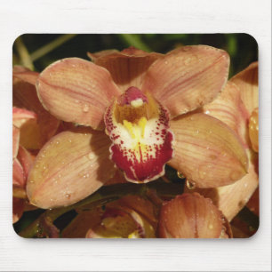Peach Orchids with Raindrops Floral Mouse Pad