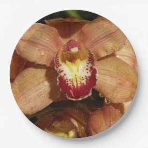 Peach Orchids with Raindrops Floral Paper Plate