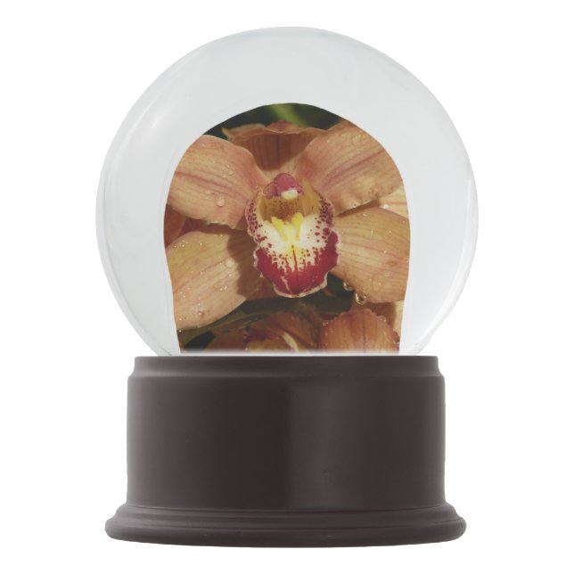 Peach Orchids with Raindrops Floral Snow Globe (Back)