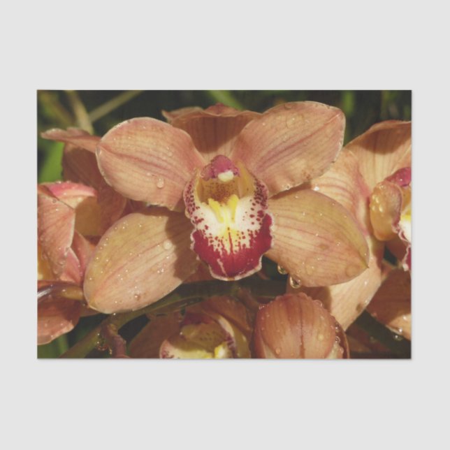 Peach Orchids with Raindrops Floral Tissue Paper (Front)