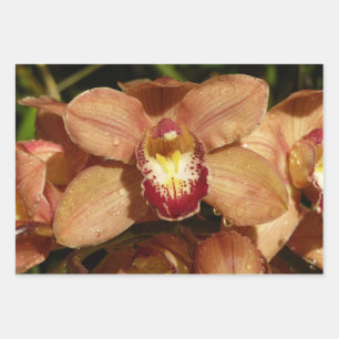 Peach Orchids with Raindrops Wrapping Paper Sheet